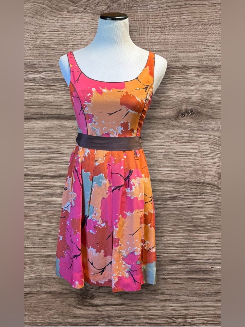 Anthropologie sz 2 We Love Vera 100% Silk Fit & Flare Changing Canopy Dress